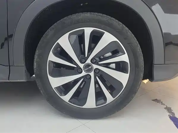 BYD Song PLUS New Energy 2024