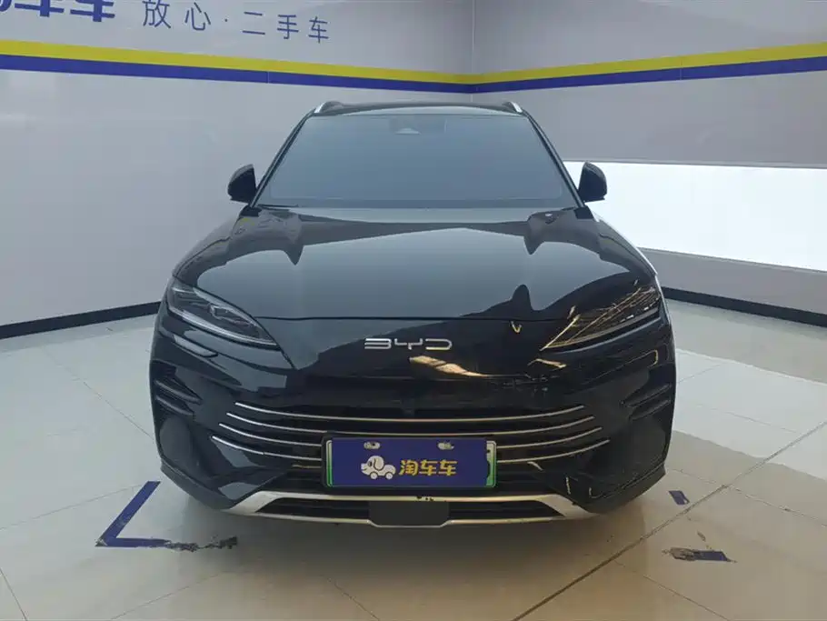 BYD Song PLUS New Energy 2024 — фото 2