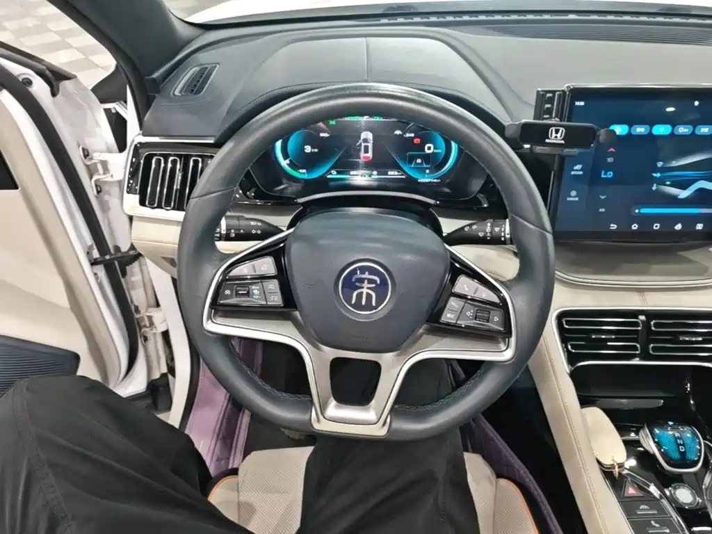 BYD Song PLUS New Energy 2022 — фото 11