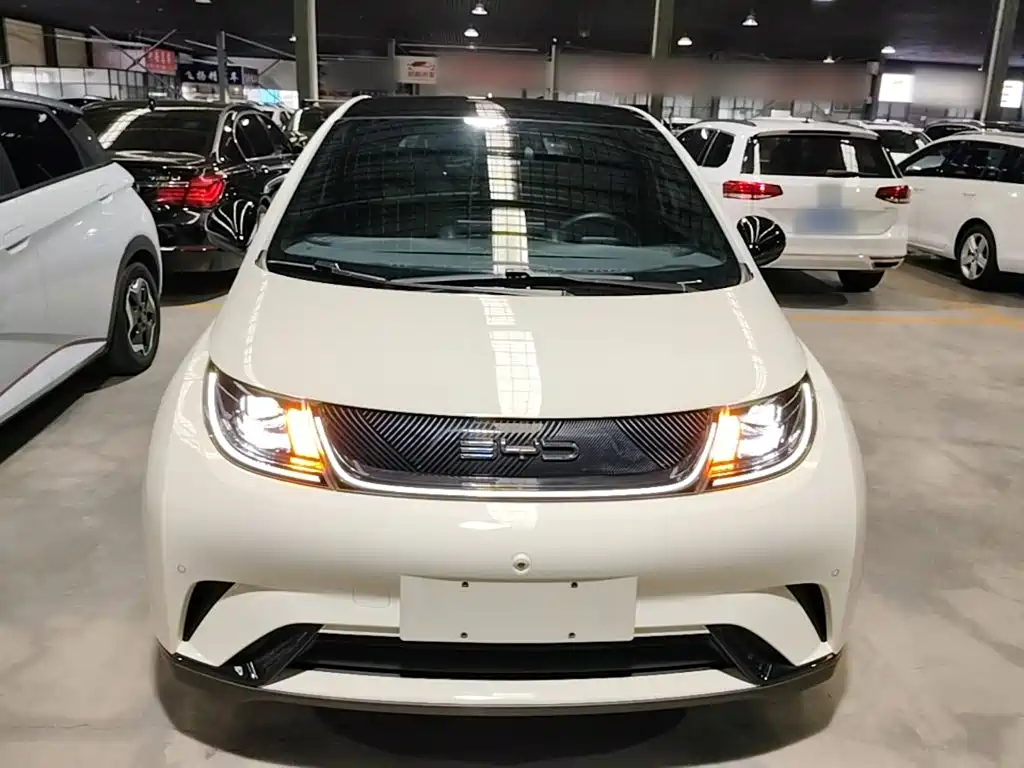 BYD Dolphin 2023