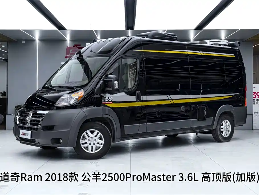 RAM ProMaster 2020 — фото 2
