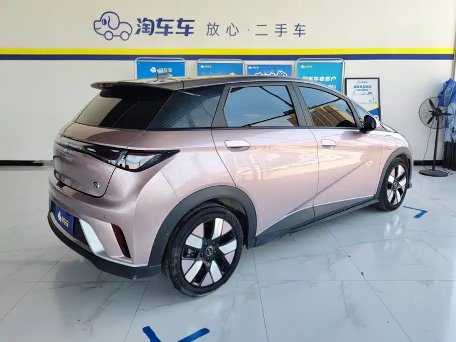 BYD Dolphin 2022