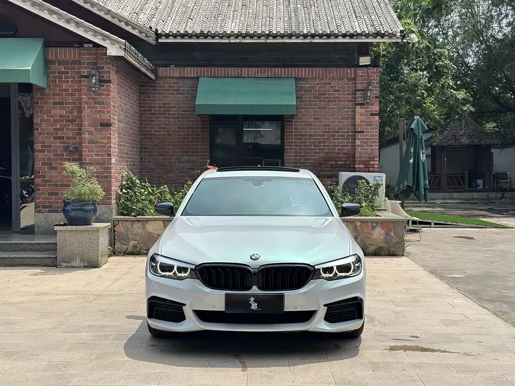 BMW 5 Series 2019