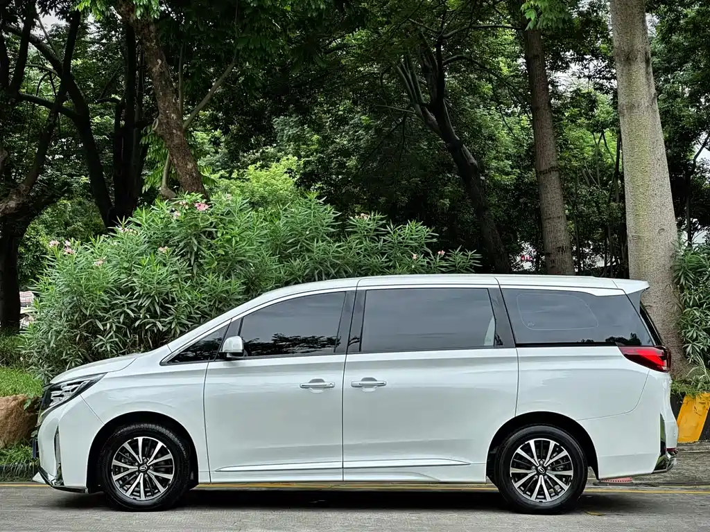 GAC Motor Trumpchi M8 2023 — фото 8