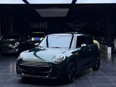 MINI MINI 2017