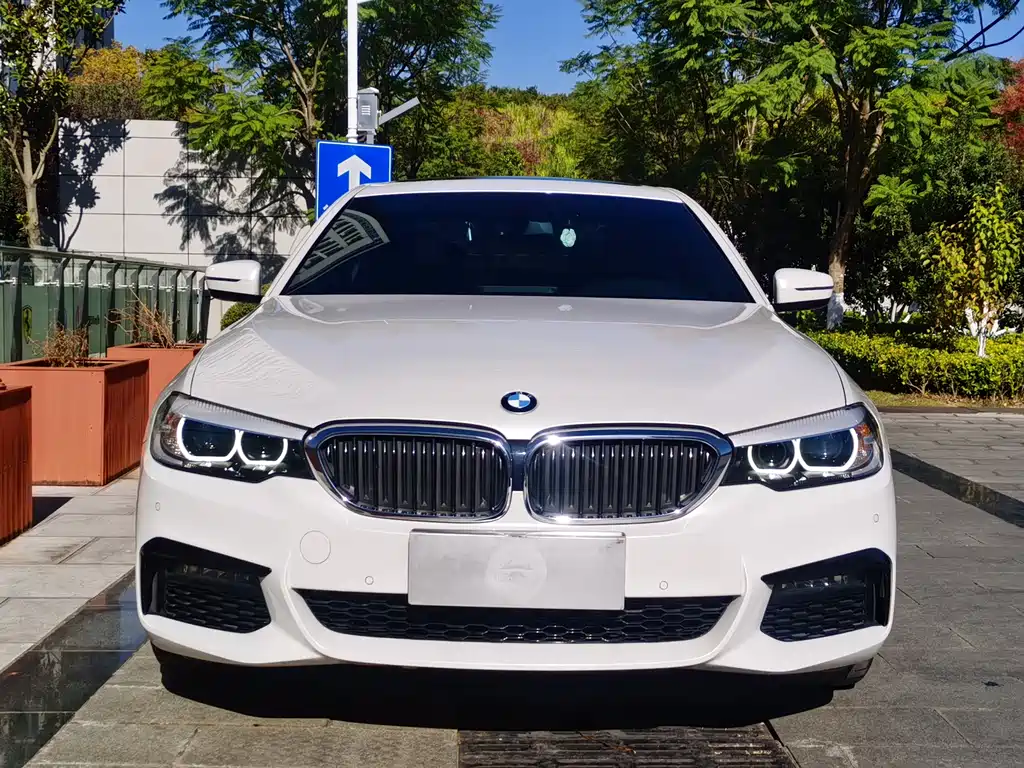 BMW 5 Series 2019 — фото 2