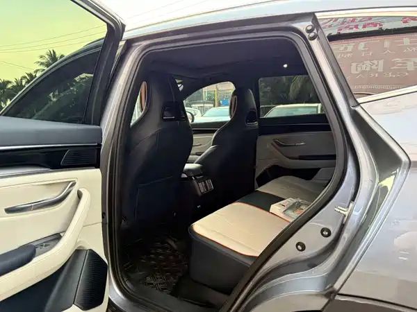 BYD Song PLUS New Energy 2024