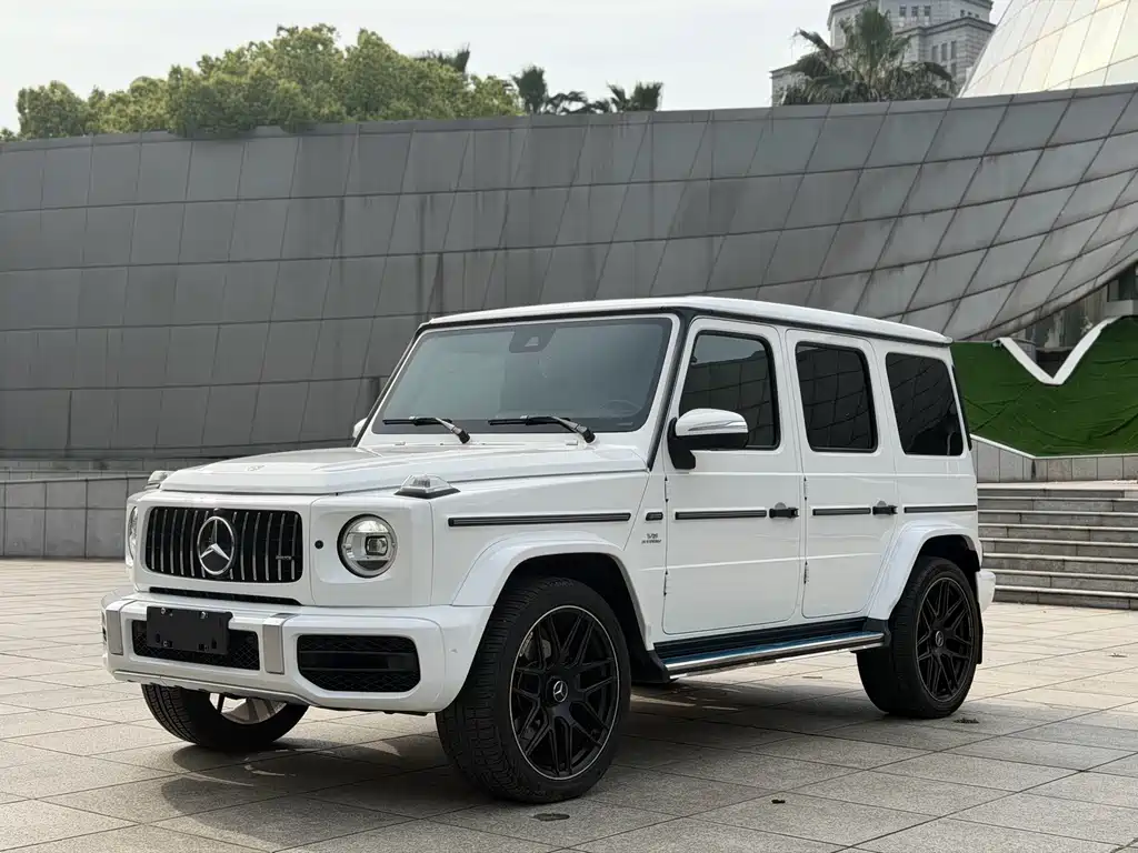 Mercedes-Benz G-Class 2019 — фото 1