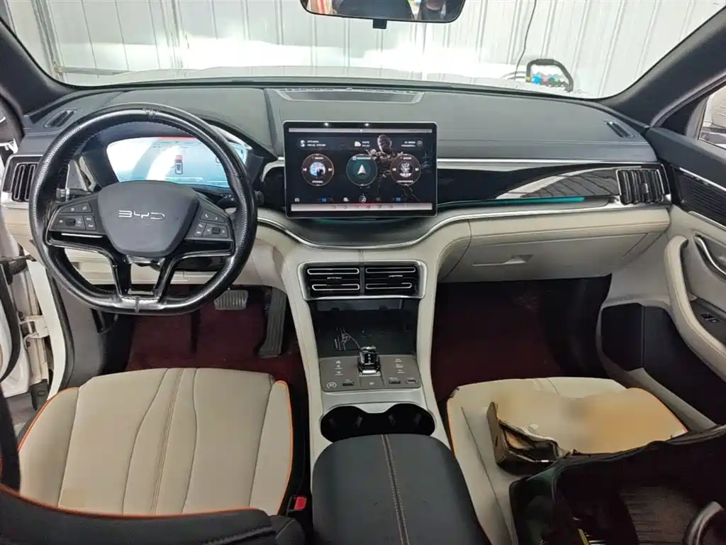 BYD PLUS New Energy 2024 — фото 10