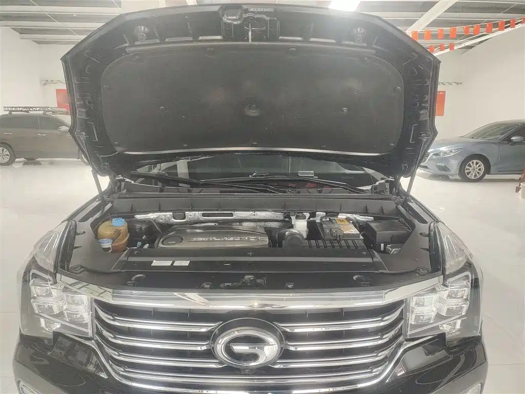 GAC Motor Trumpchi GS8 2017 — фото 16