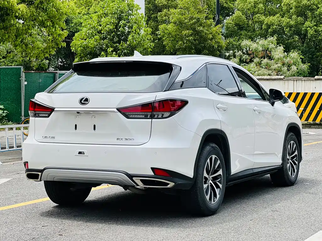 Lexus RX 2021 — фото 8