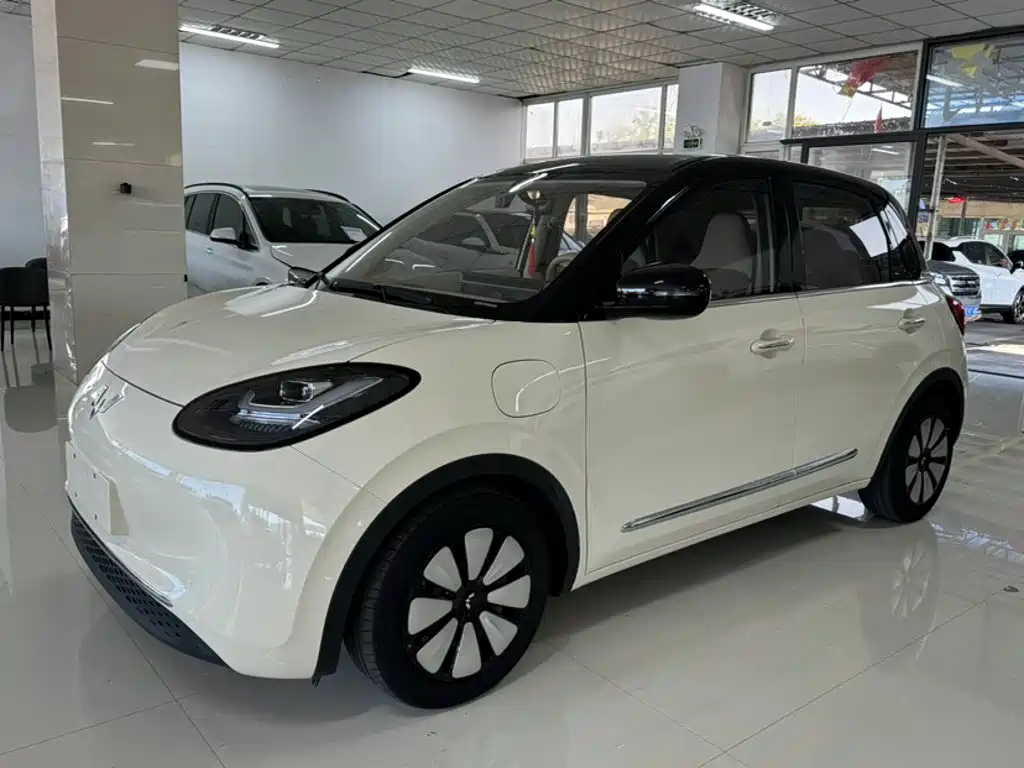 Wuling Bingo 2025