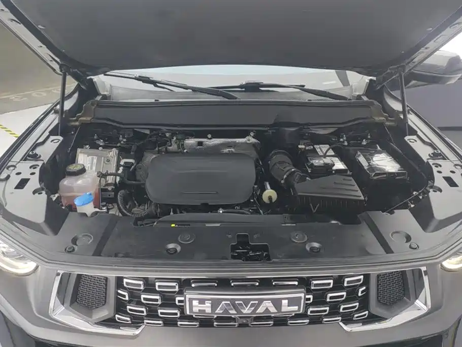 Haval Dog PLUS 2023 — фото 10