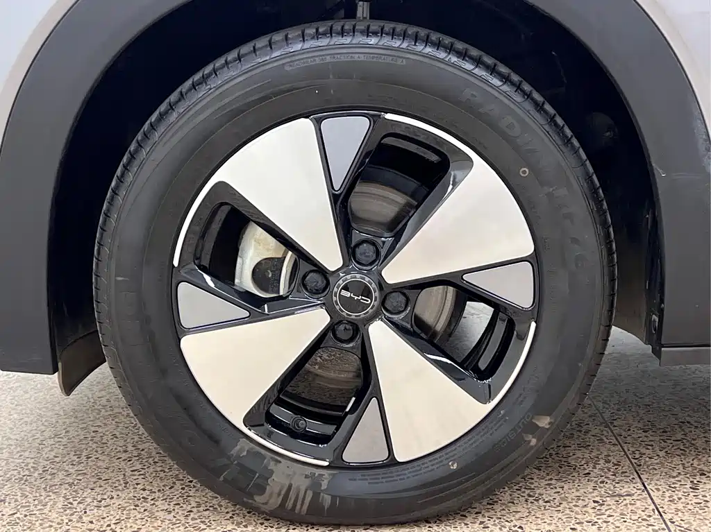 BYD Dolphin 2024 — фото 9