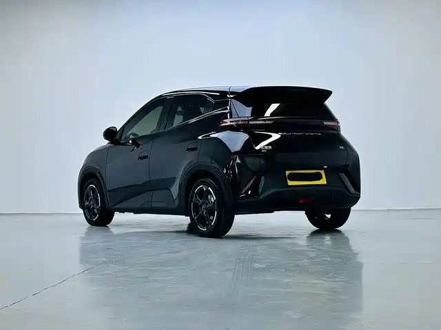 BYD Seagull 2024
