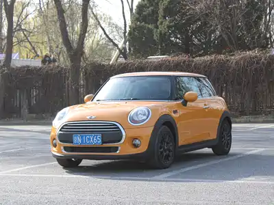 MINI MINI 2014