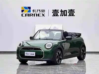 MINI MINI 2025