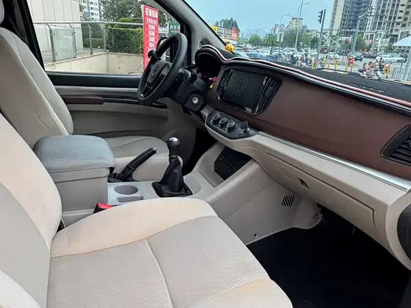 Dongfeng Lingzhi 2020