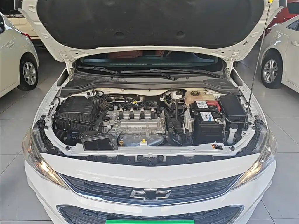 Chevrolet Cavalier 2018 — фото 20
