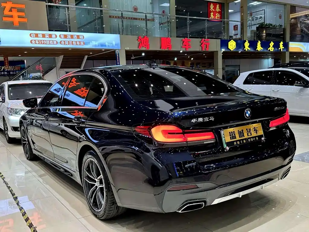 BMW 5 Series New Energy 2021 — фото 17