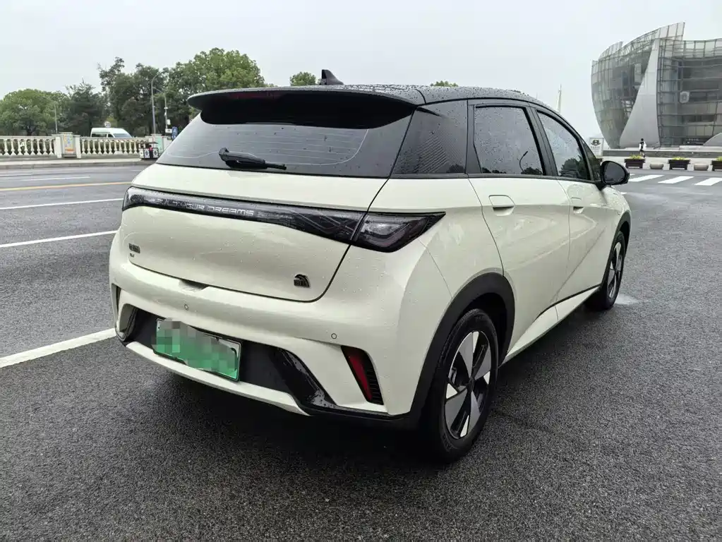 BYD Dolphin 2023 — фото 9