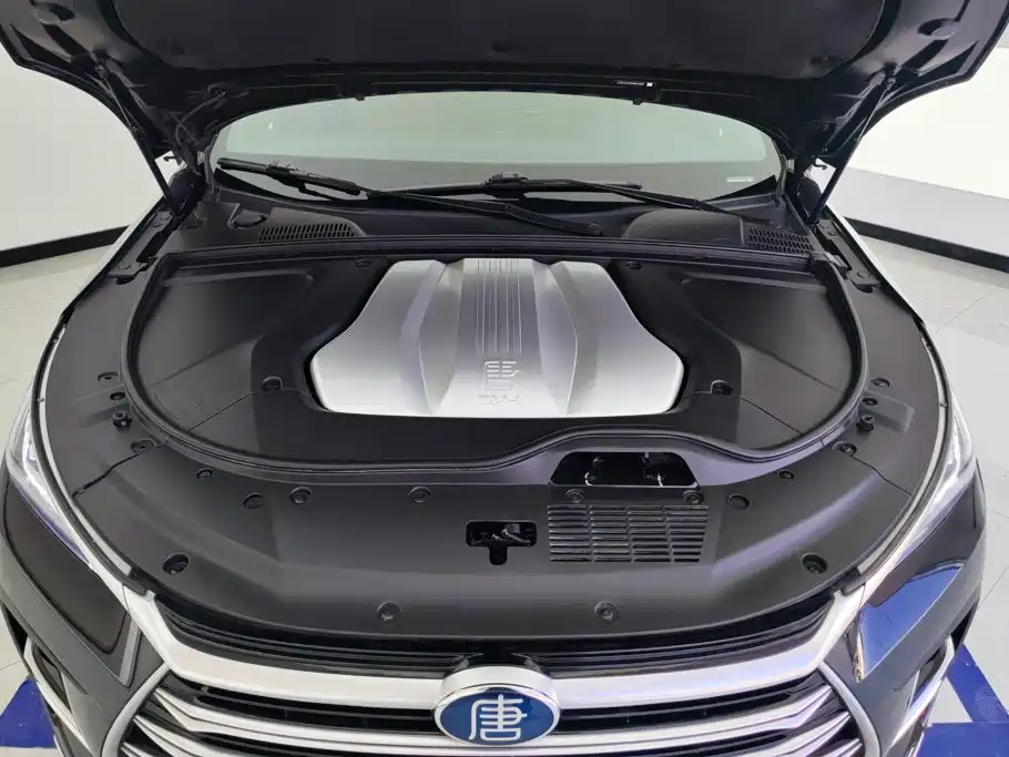 BYD Tang New Energy 2023 — фото 10