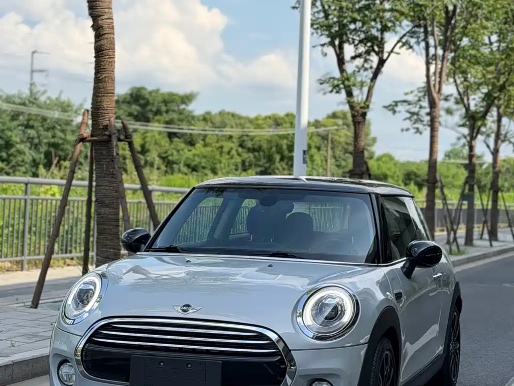 MINI MINI 2017