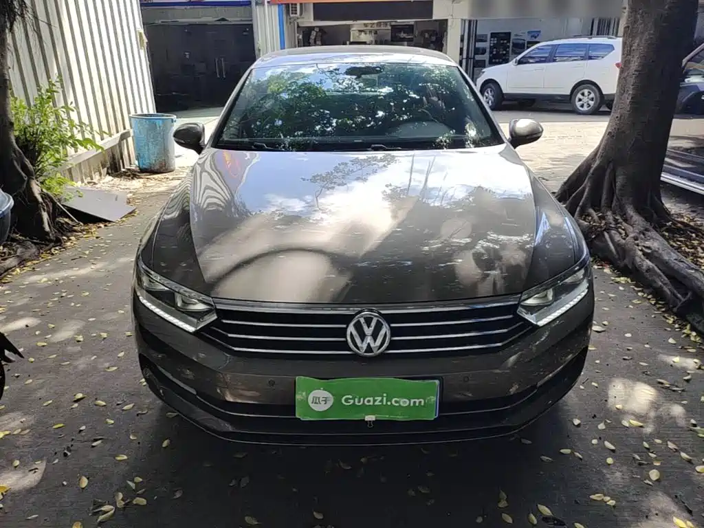 Volkswagen Magotan 2019