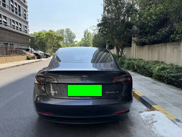 Tesla Model 3 2020