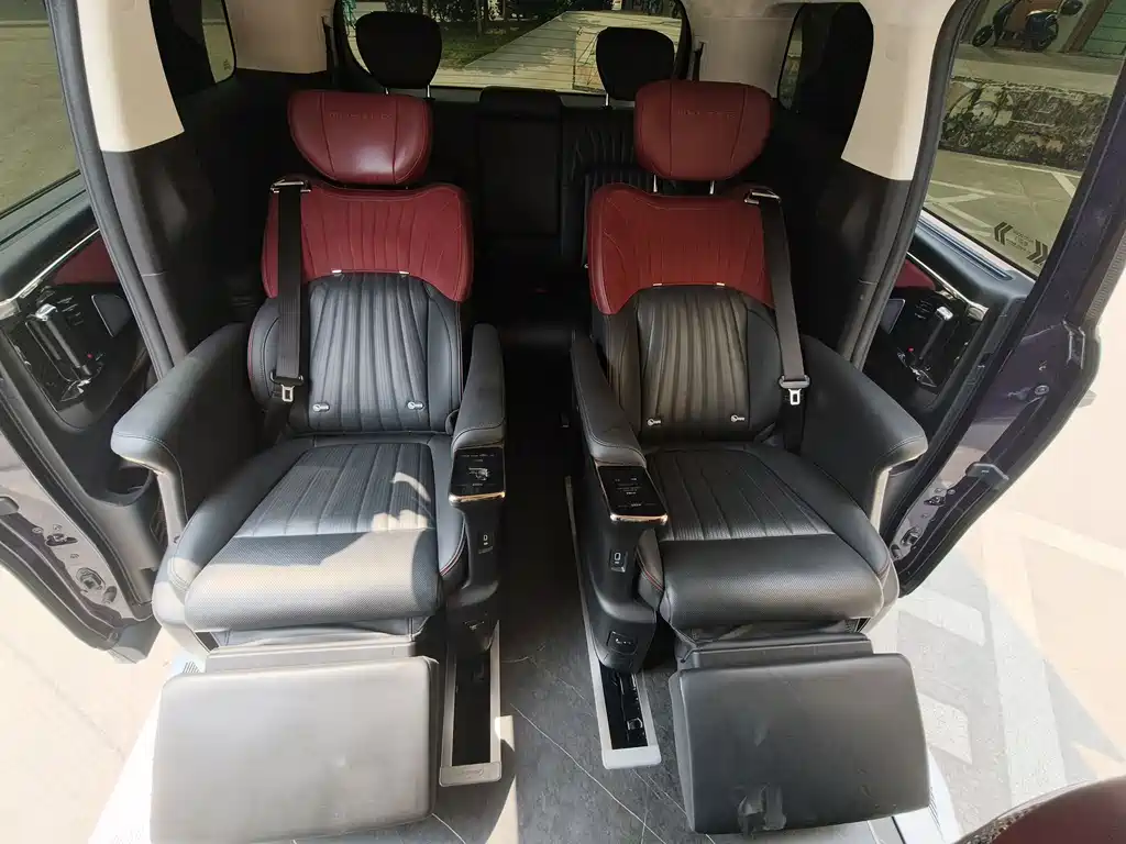 GAC Motor Trumpchi E9 2023 — фото 16
