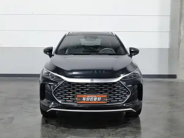 BYD Tang New Energy 2024