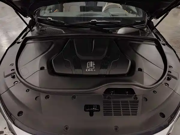 BYD Tang New Energy 2024