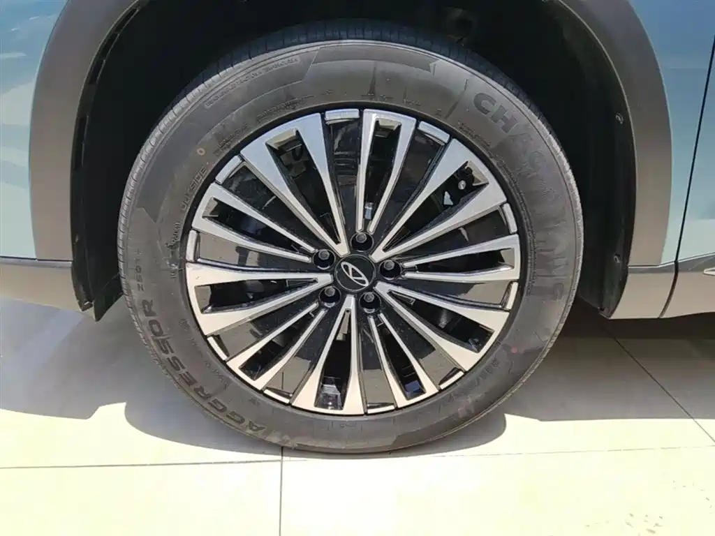 Chery Tiggo 8 PLUS C-DM 2024 — фото 23