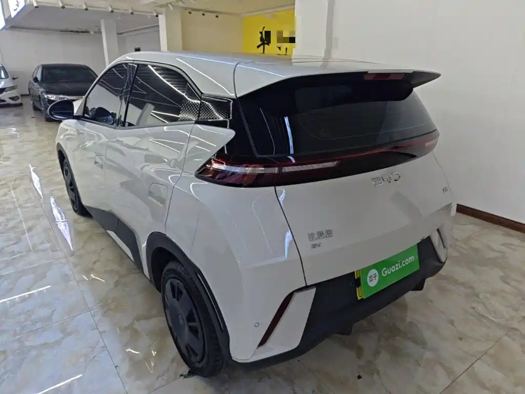 BYD Seagull 2025