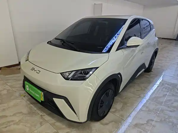 BYD Seagull 2025