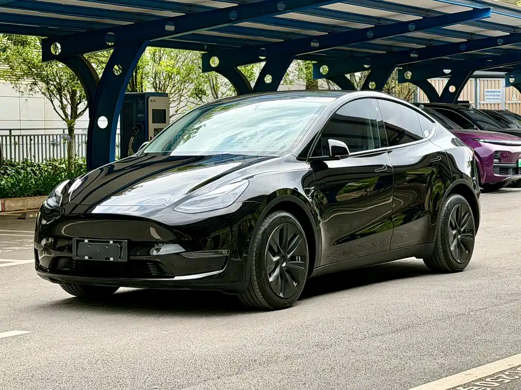 Tesla Model Y 2021 — фото 1