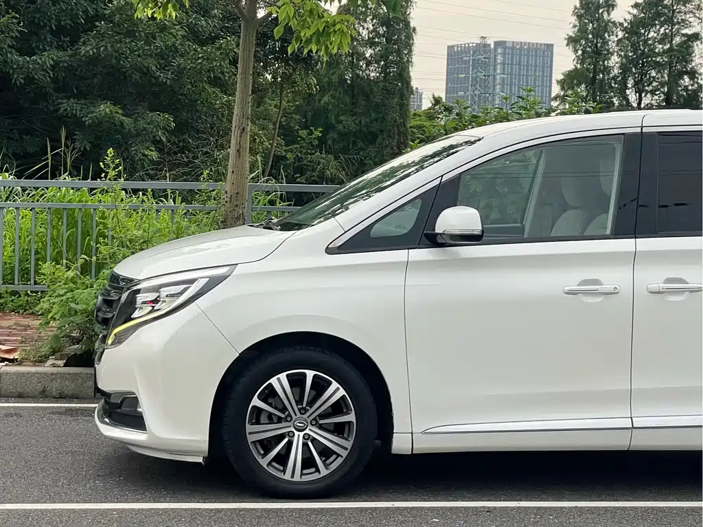 GAC Motor Trumpchi M8 2019 — фото 5