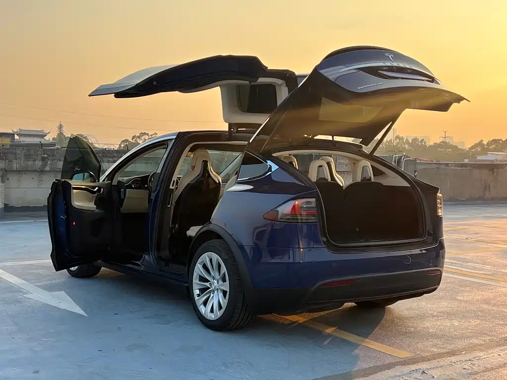 Tesla Model X 2017 — фото 26