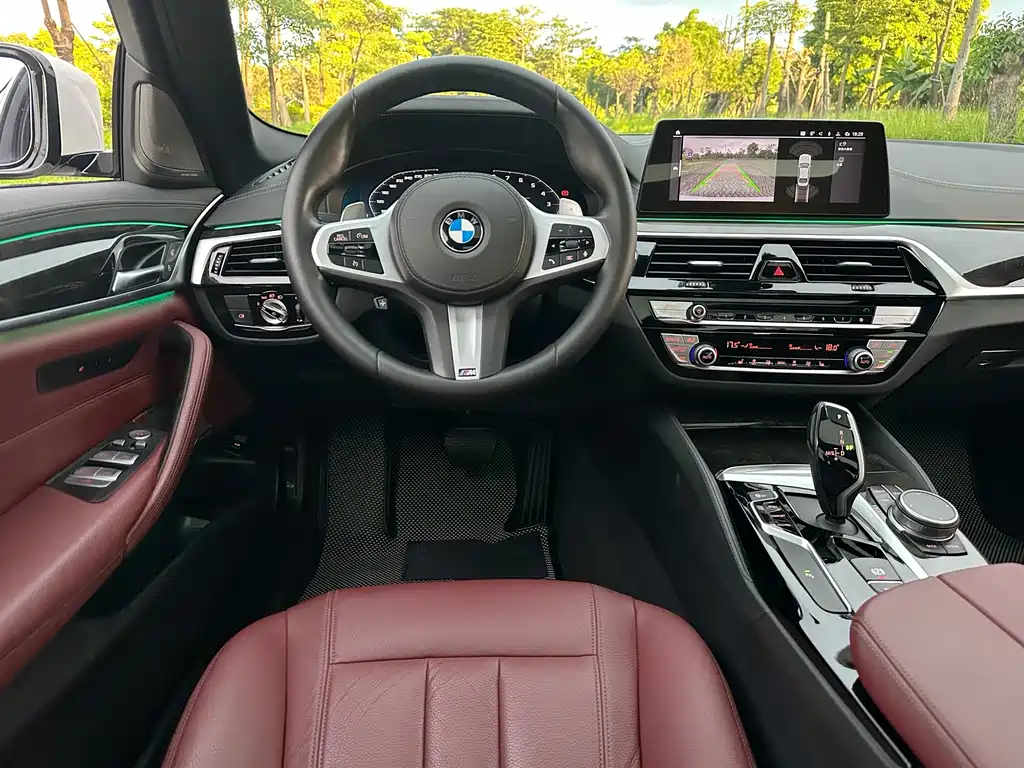 BMW 5 Series 2020 — фото 12