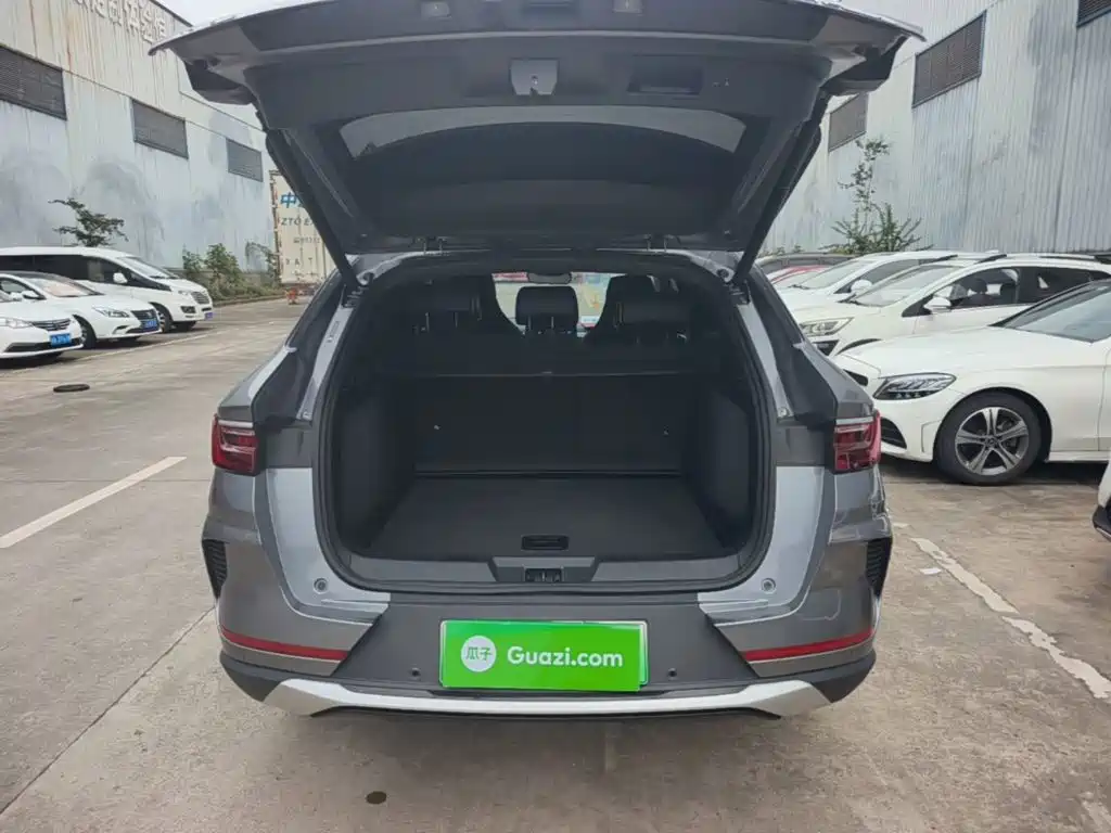 BYD PLUS New Energy 2022 — фото 19