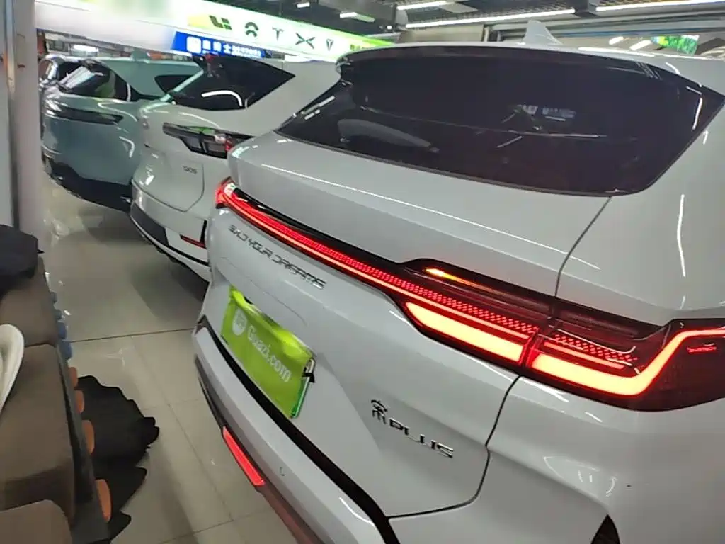 BYD PLUS New Energy 2024 — фото 6