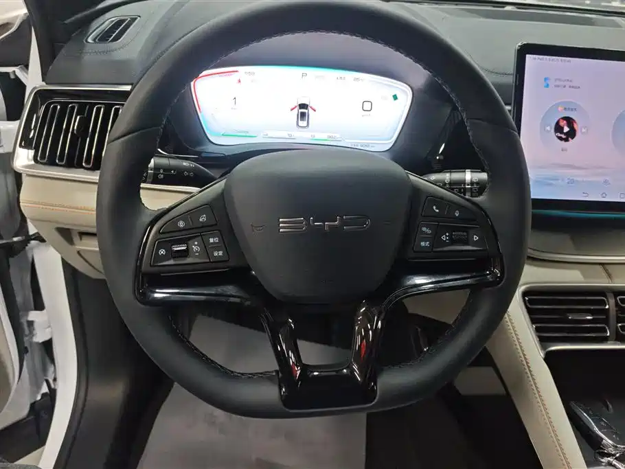 BYD PLUS New Energy 2024 — фото 15