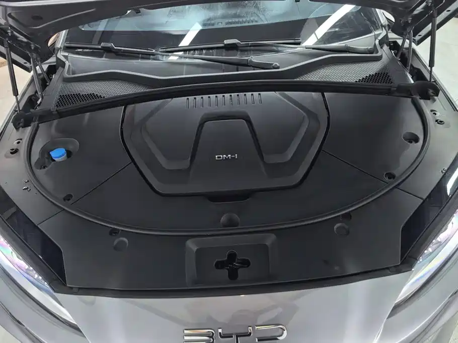 BYD Song PLUS New Energy 2024 — фото 10