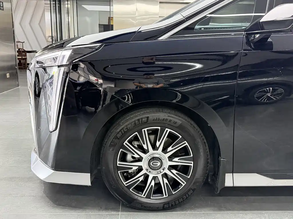 GAC Motor Trumpchi E9 2024 — фото 16