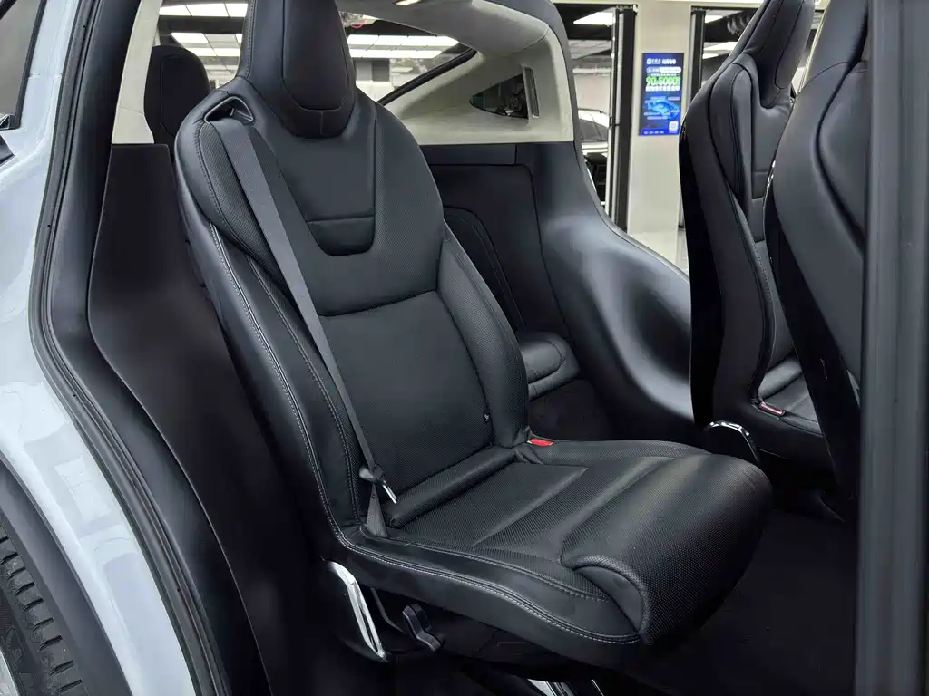 Tesla Model X 2016 — фото 22