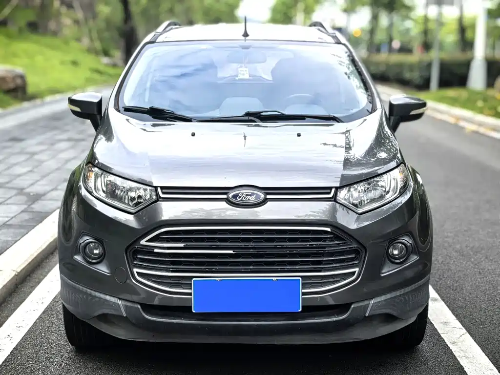 Ford Ecosport 2013 — фото 2