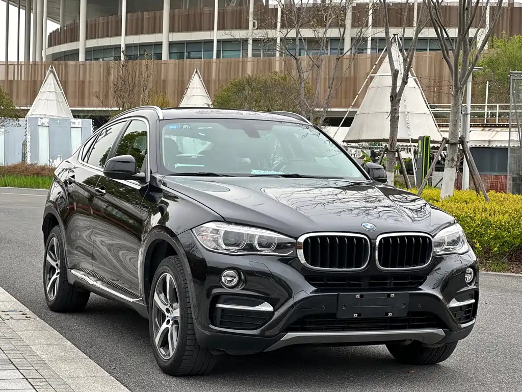 BMW X6 2015 — фото 3