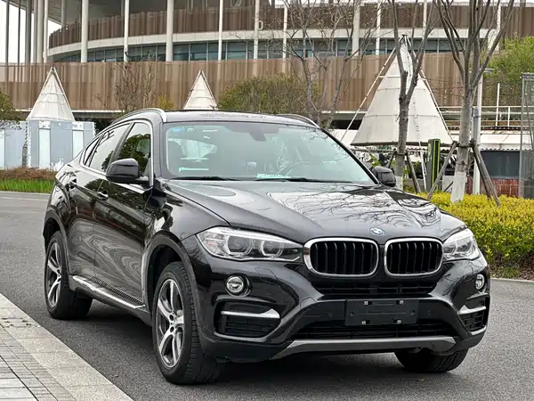 BMW X6 2015