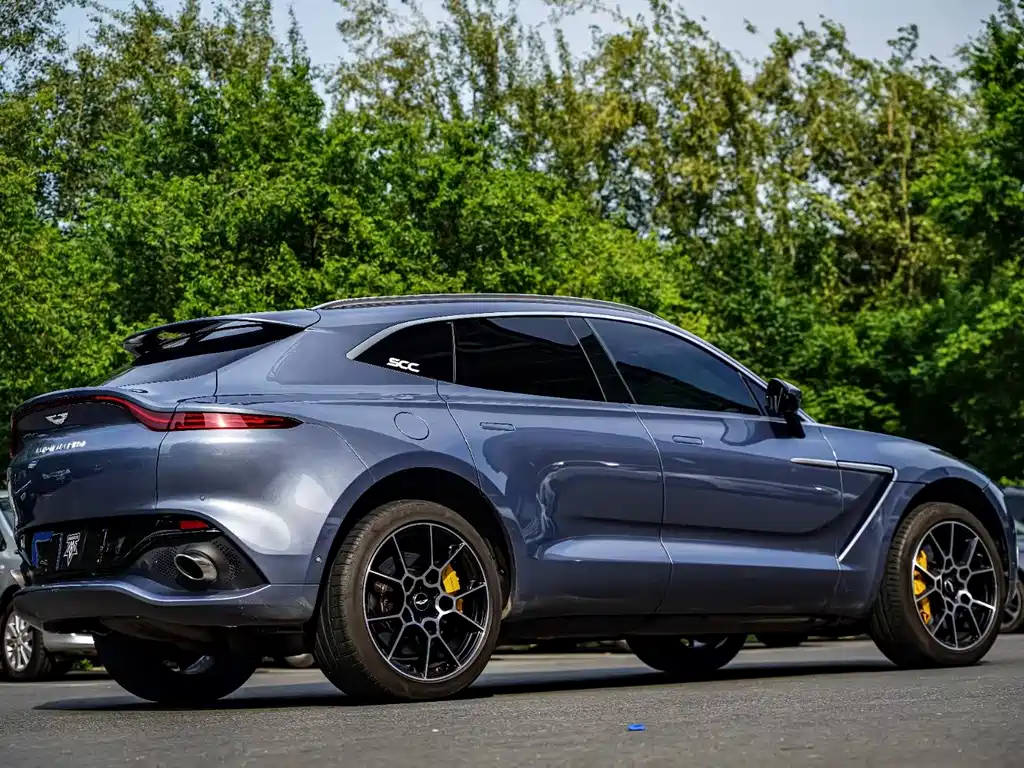 Aston Martin DBX 2022 — фото 7