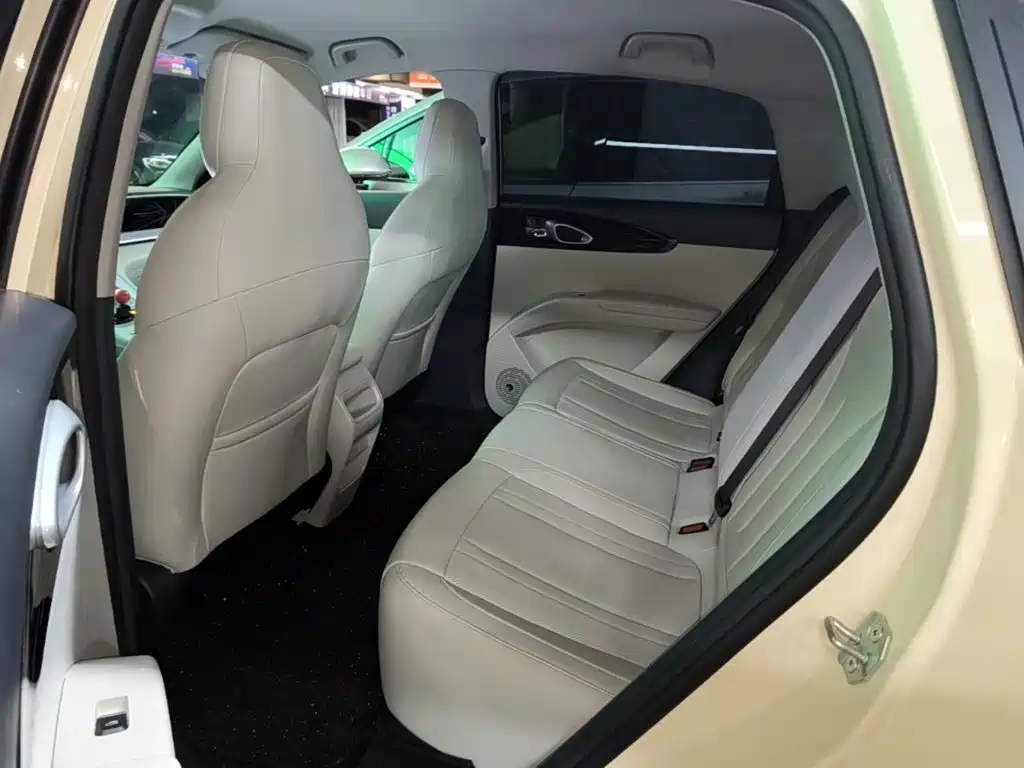 Geely Galaxy Starwish 2025 — фото 17